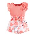 thumbnail image 4 of ITSAME Girls Outfit Sets, Knit Cotton Bow Ruffle Sleeve Top and Floral Print Shorts 2-Piece Summer Fashion Leisure Sets Pink 9M, 4 of 8