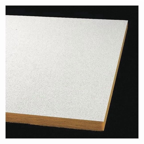 Armstrong Ceiling Tile,24 in L,24 in W,PK24 3152