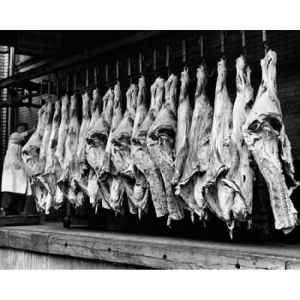 Butcher hanging sides of beef in a slaughterhouse Poster Print (24 x 36