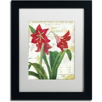 Trademark Fine Art "Peppermint Amaryllis" Canvas Art by Color Bakery White Matte, Black Frame