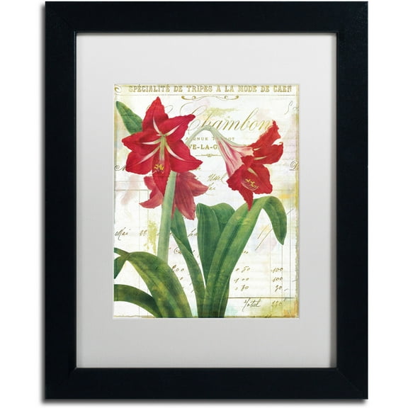 Trademark Fine Art "Peppermint Amaryllis" Canvas Art by Color Bakery White Matte, Black Frame