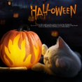 thumbnail image 5 of 8 Inch, Halloween Pumpkin Lights Fall Thanksgiving Pumpkin Light Decorations Pumpkin Prop with LED Light,Battery Operated Lighted Halloween Pumpkin Decorations Party Favor Gifts (B), 5 of 5