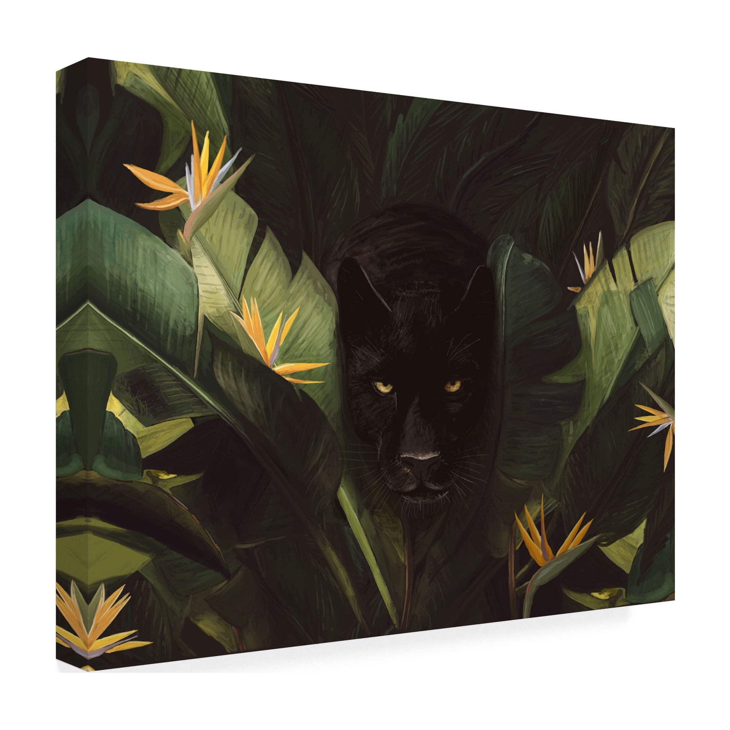 Florent Bodart 'Hello Panther' Canvas Art