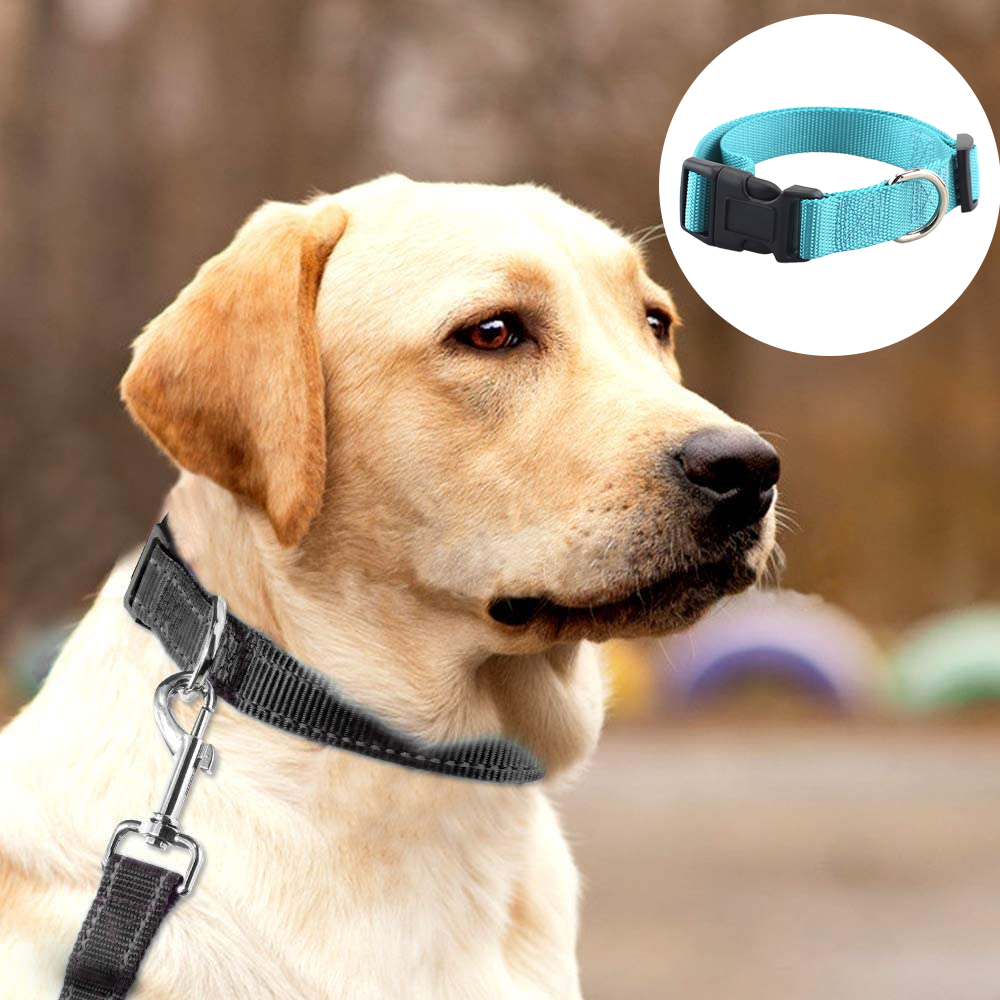 Carhartt Pet Fully Adjustable Webbing Collars for Dogs, Reflective Stitching for Visibility - image 4 of 5