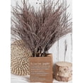 thumbnail image 4 of 100% Natural Decorative Birch Branches For Vases, Centerpieces Diy Crafts, 4 of 4