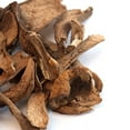thumbnail image 1 of Dried Porcini Mushrooms, Grade A - 10 lb. Bulk, 1 of 2
