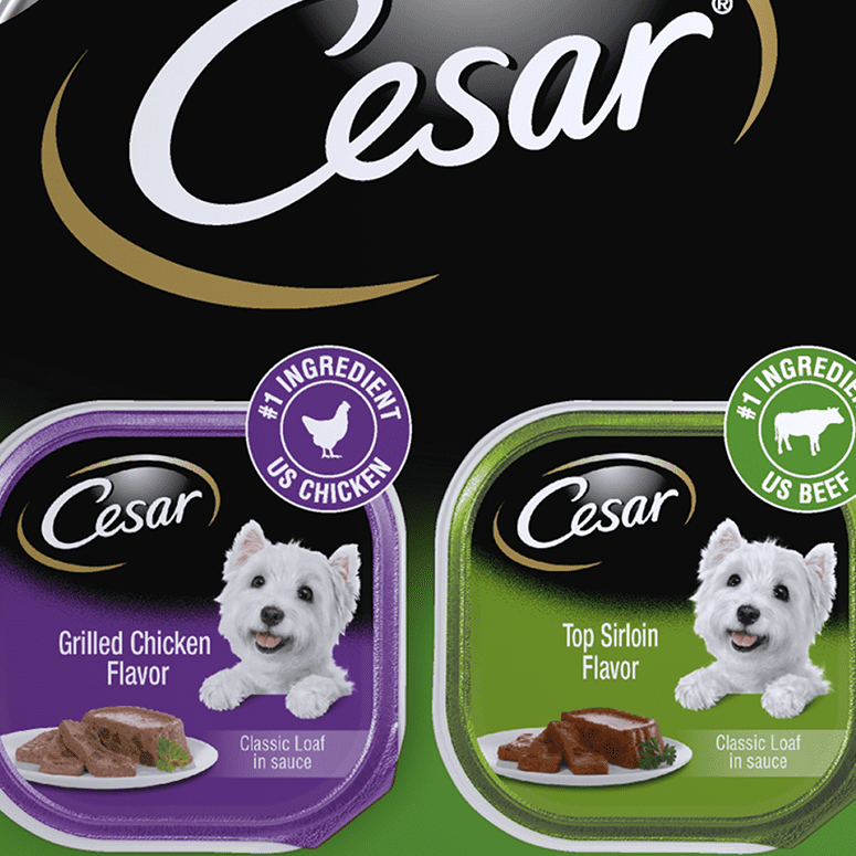 CESAR Puppy Soft Wet Dog Food Classic Loaf in Sauce Chicken  Beef Recipe,  3.5 oz. Easy Peel Tray - Walmart.com