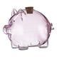 thumbnail image 2 of Hucha de vidrio borosilicato, bonita, multifuncional, regalo educativo para niños Rosa, 2 of 9
