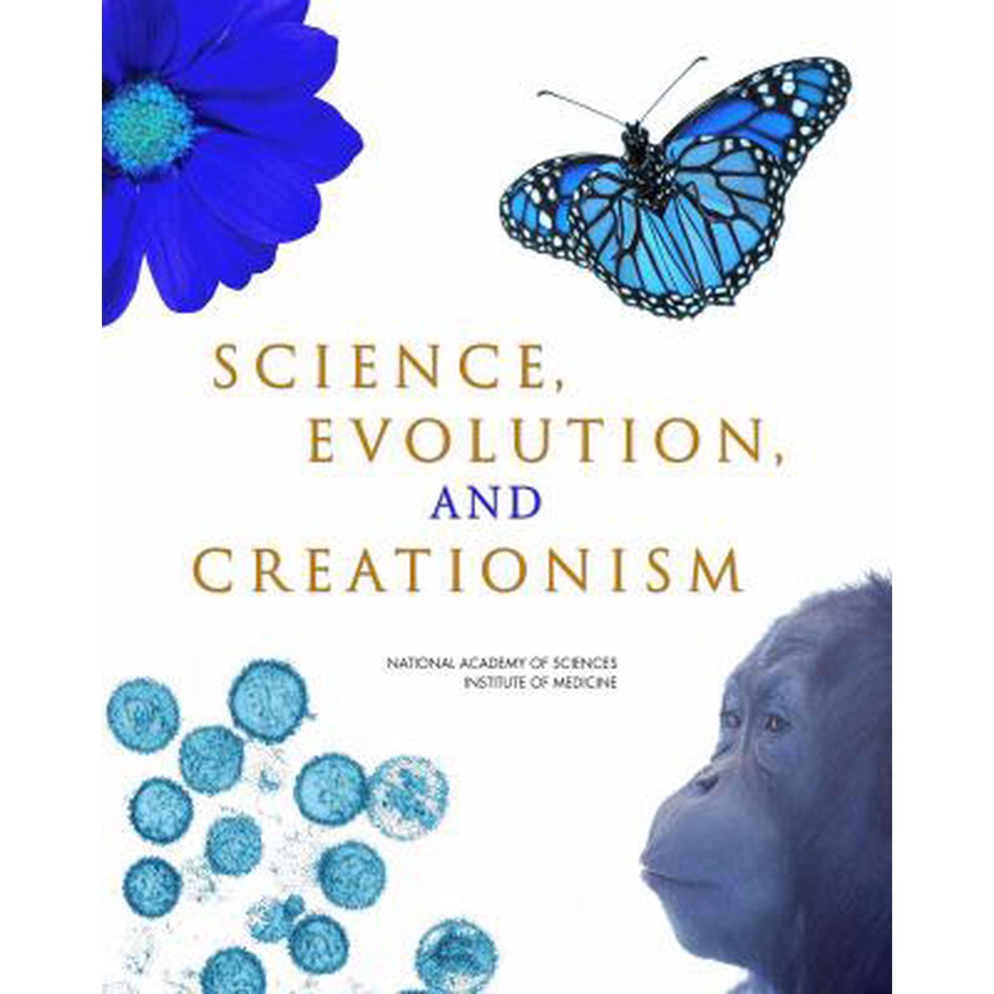Science Evolution and Creationism (Paperback - Used) 0309105862 9780309105866
