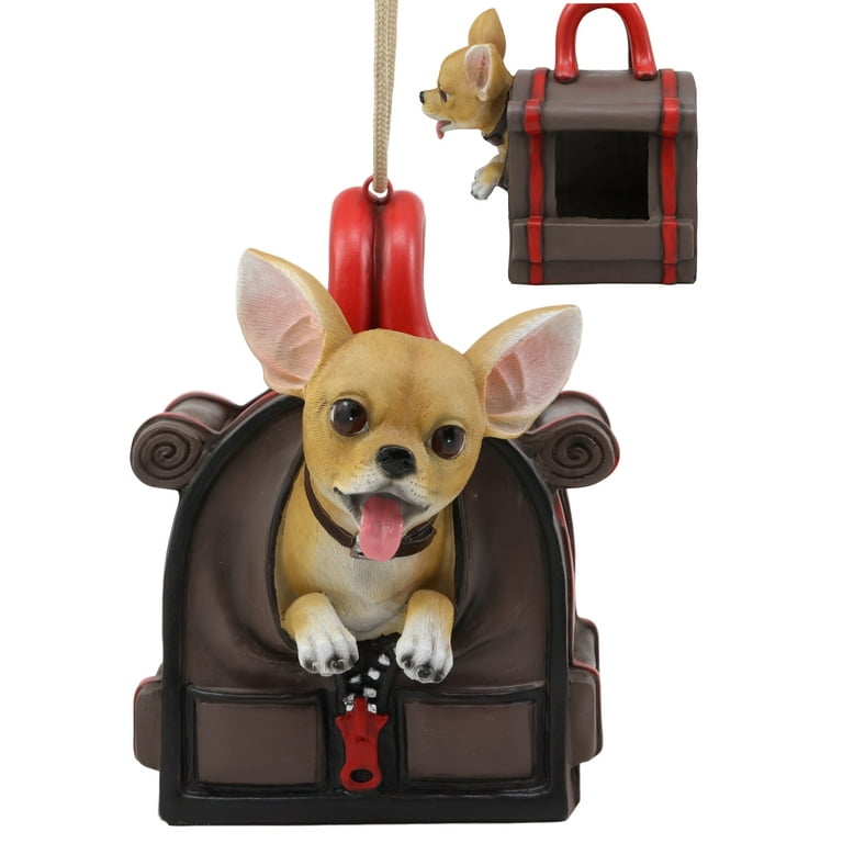 Chihuahua bird sales