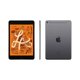 thumbnail image 2 of Tablet Manzanita iPad Mini 7.9" Wi-Fi + Celular 64GB Gris espacial A2126 (5ª generación), 2 of 2