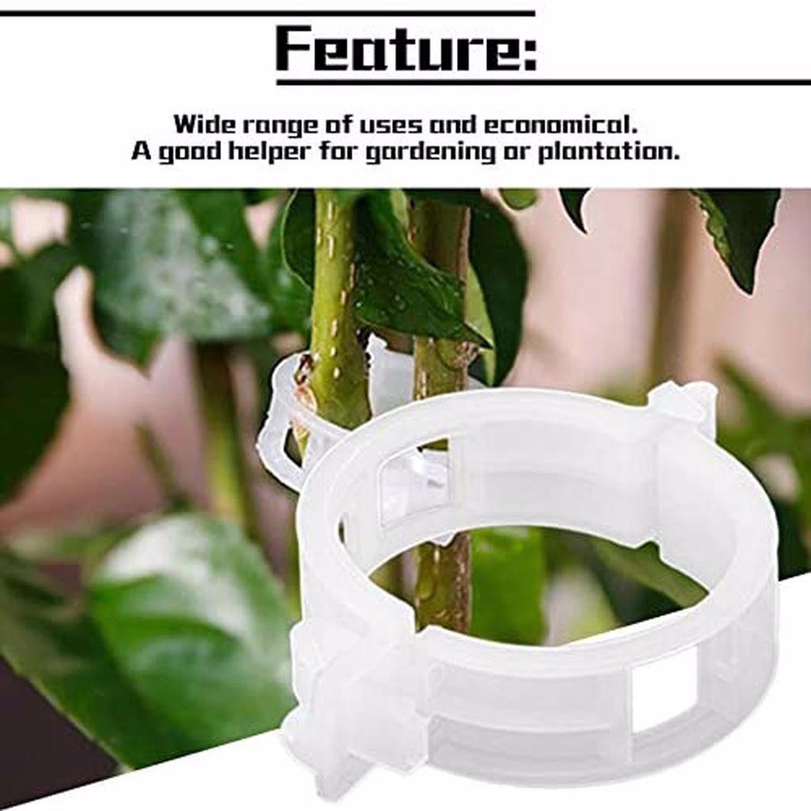 500Pcs Vine Vegetables Plant Fixing Clips,Vines Climbing Support Orchid Clips,Vine Clips for Climbing Plants Outdoor,Garden Clip Plant Growth Fixing Clip