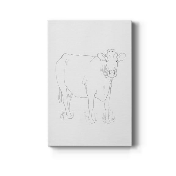 Limousin Cattle III Premium Gallery Wrapped Canvas - Ready to Hang