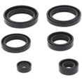 thumbnail image 1 of QuadBoss Oil Seal Set, 1 of 1
