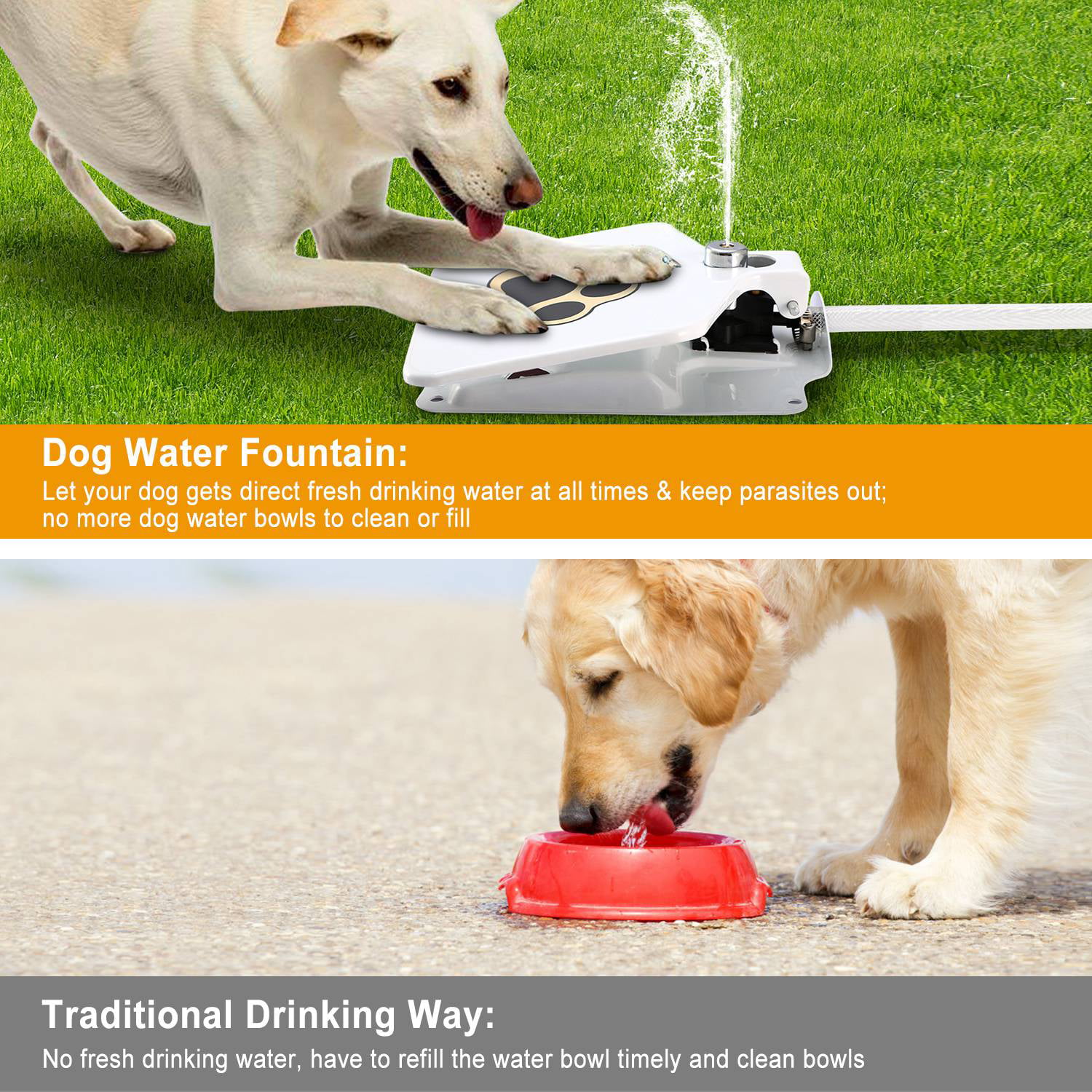 Why Your Dog Needs a Water Fountain Bowl - Proud Dog Mom