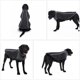 thumbnail image 3 of Raindrops Pet Negro Reflectante Para Perros Ropa Impermeable Y Cálida De Poliéster, 3 of 8