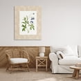 thumbnail image 3 of Stupell Industries Traditional Botanical Plate Design Canvas Art, 30 x 40, by Val Rhodes, 3 of 8