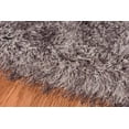 thumbnail image 2 of AMER Dark Gray Shag Area Rug 2'x3', 2 of 7