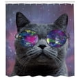 thumbnail image 3 of Ambesonne Cosmic Cat Shower Curtain, Funny Kitten Sunglasses, 69"Wx84"L, Grey and Multicolor, 3 of 3