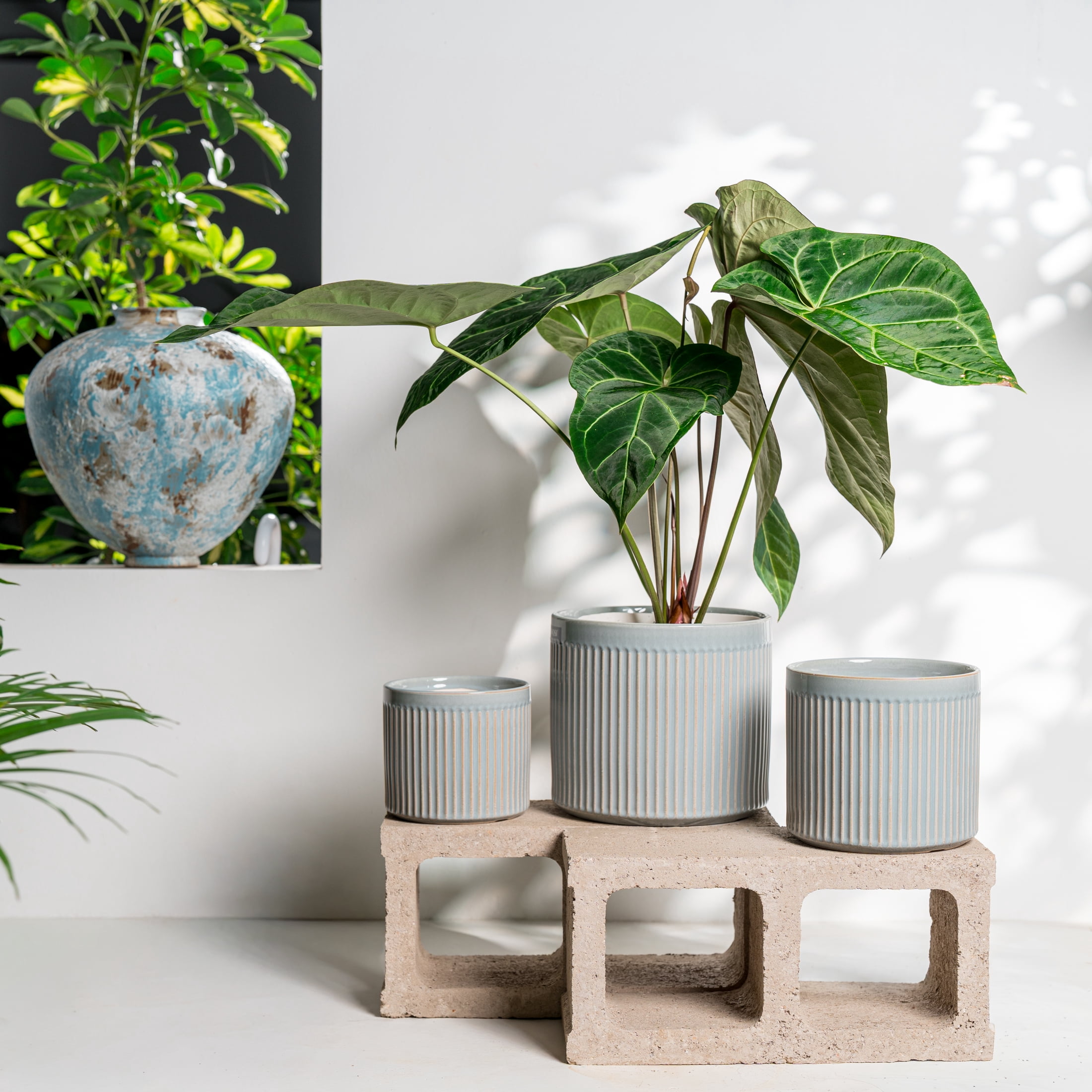 UMIAMOY Modern Cylinder Set of 3 Ceramic Flower Pots,5.7+7.0+8.6 inch Plant Pots with Drainage Holes and Saucer,Indoor Outdoor Planters for Home Patio Garden Decoration