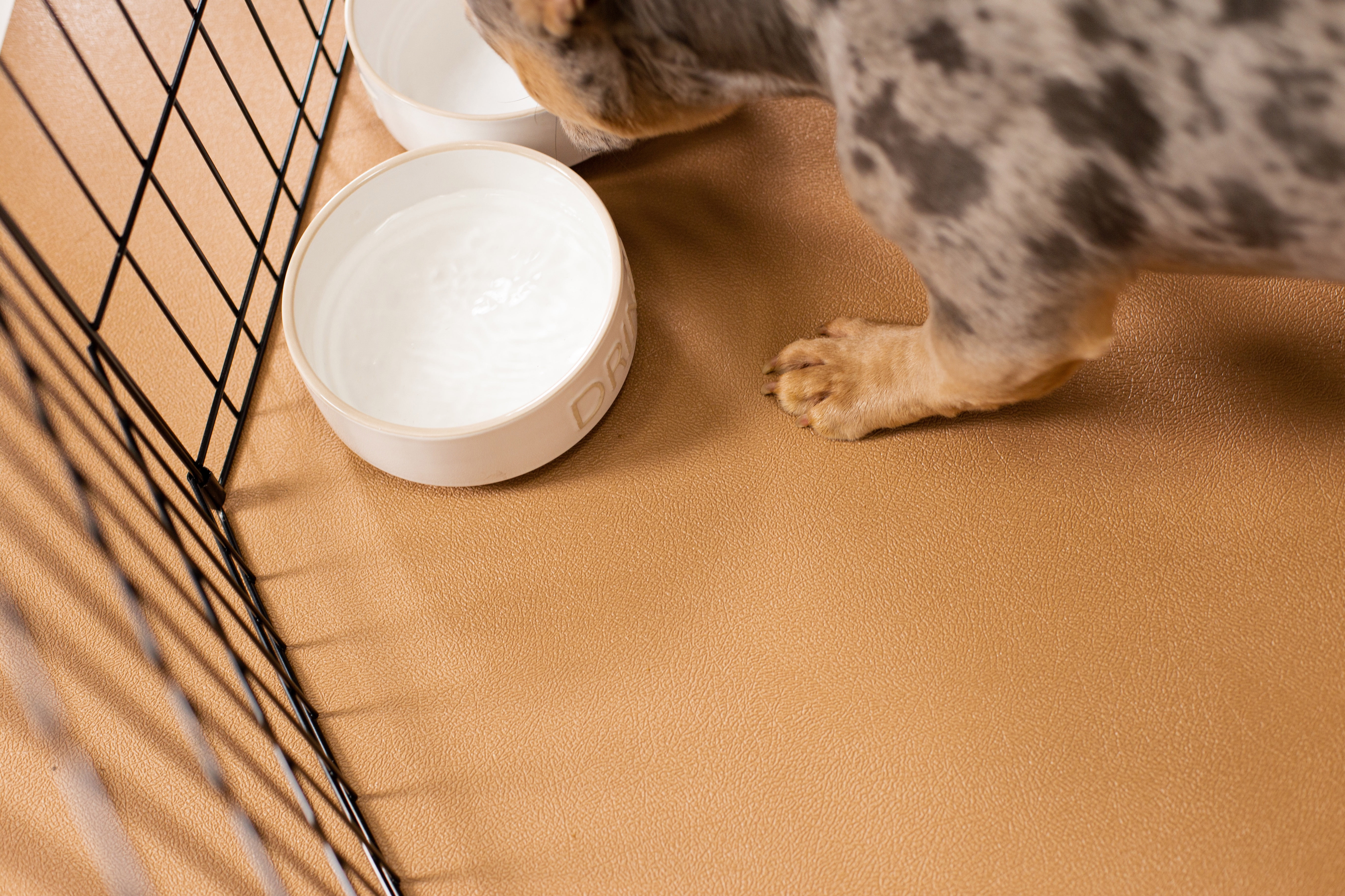 G-Floor 5' x 10' Vinyl Levant Pet Friendly Carpet Protector for Dogs & Cats - Sandstone