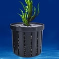 thumbnail image 3 of Huanglei Hydroponic For Aquarium Tank Glass Planter With Suction Cups Floating Holder, 3 of 3