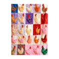thumbnail image 2 of zhangmingg Couverture en Forme de Poulet Confortable pour Enfants et Adultes Design Mignon et Confortable, 2 of 6