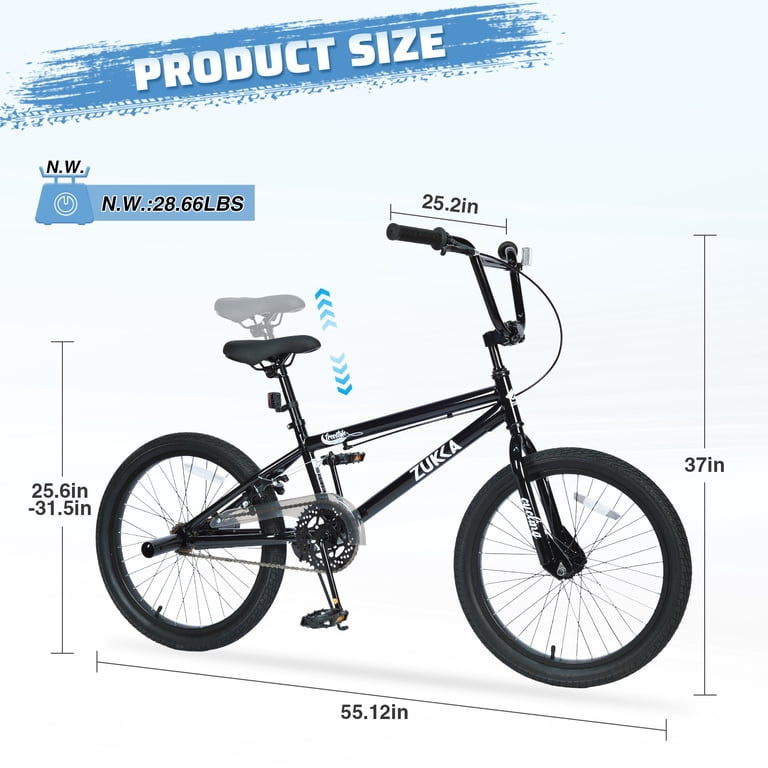 Aukfa 20 inch Freestyle Kids BMX Bike for Boys & Girls,Single