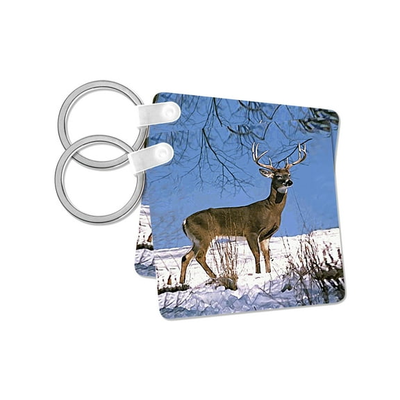 3dRose, White Tailed Deer, set of 2 Key Chains