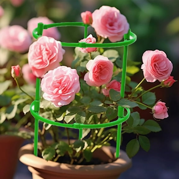 Tomato Cage for Pots Garden Plant Support Tomatoes Trellis Cages Smile Home