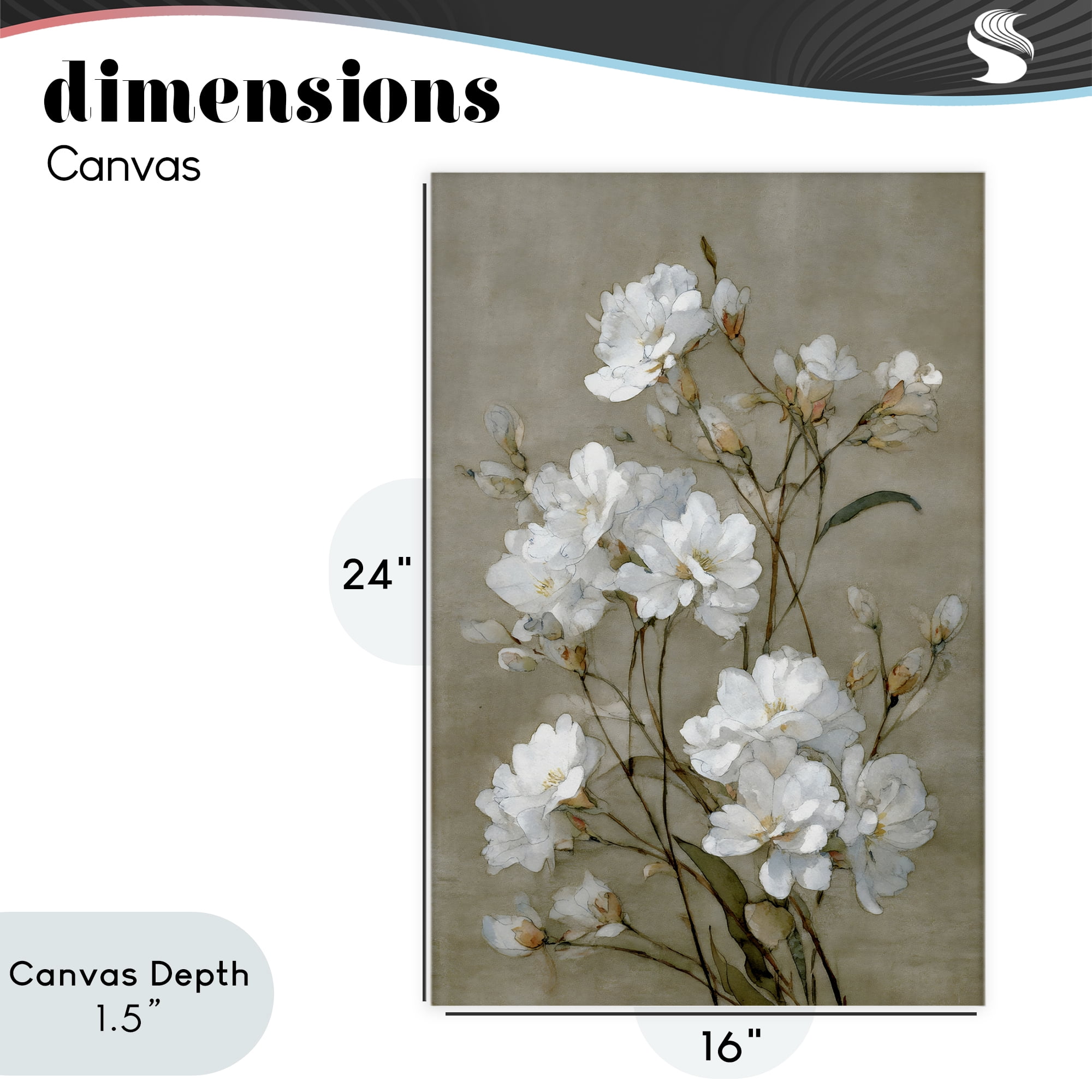 Stupell Industries Aged White Botanical Study Canvas Wall Art, design by Petal Prints Design