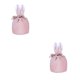 thumbnail image 1 of Injueey Excelentes bolsas de regalo de conejitos para Pascua, lindas y fáciles de llevar, decoraciones de Pascua, bolsas de regalo de Pascua Type3 NO3, 1 of 6