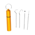 thumbnail image 1 of Juego de 4 palillos Zulema con Tubo de almacenamiento Limpiador de dientes Oro, 1 of 7