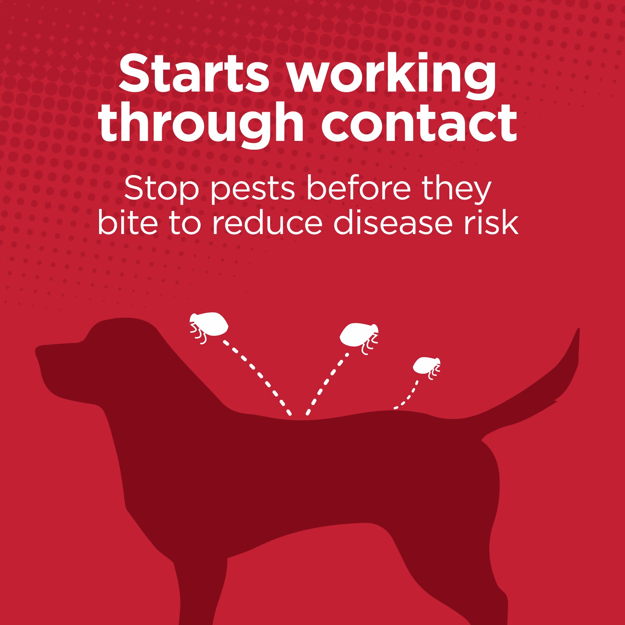 Activate II Flea and Tick Prevention for Dogs, 4 Count, Large Dogs 21-55 lbs, Topical Drops, 4 Months Flea Treatment