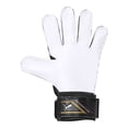 thumbnail image 3 of GUANTES PUMA MULTICOLOR PARA UNISEX EVOPOWER GRIP 2.3 RC 4122210, 3 of 5