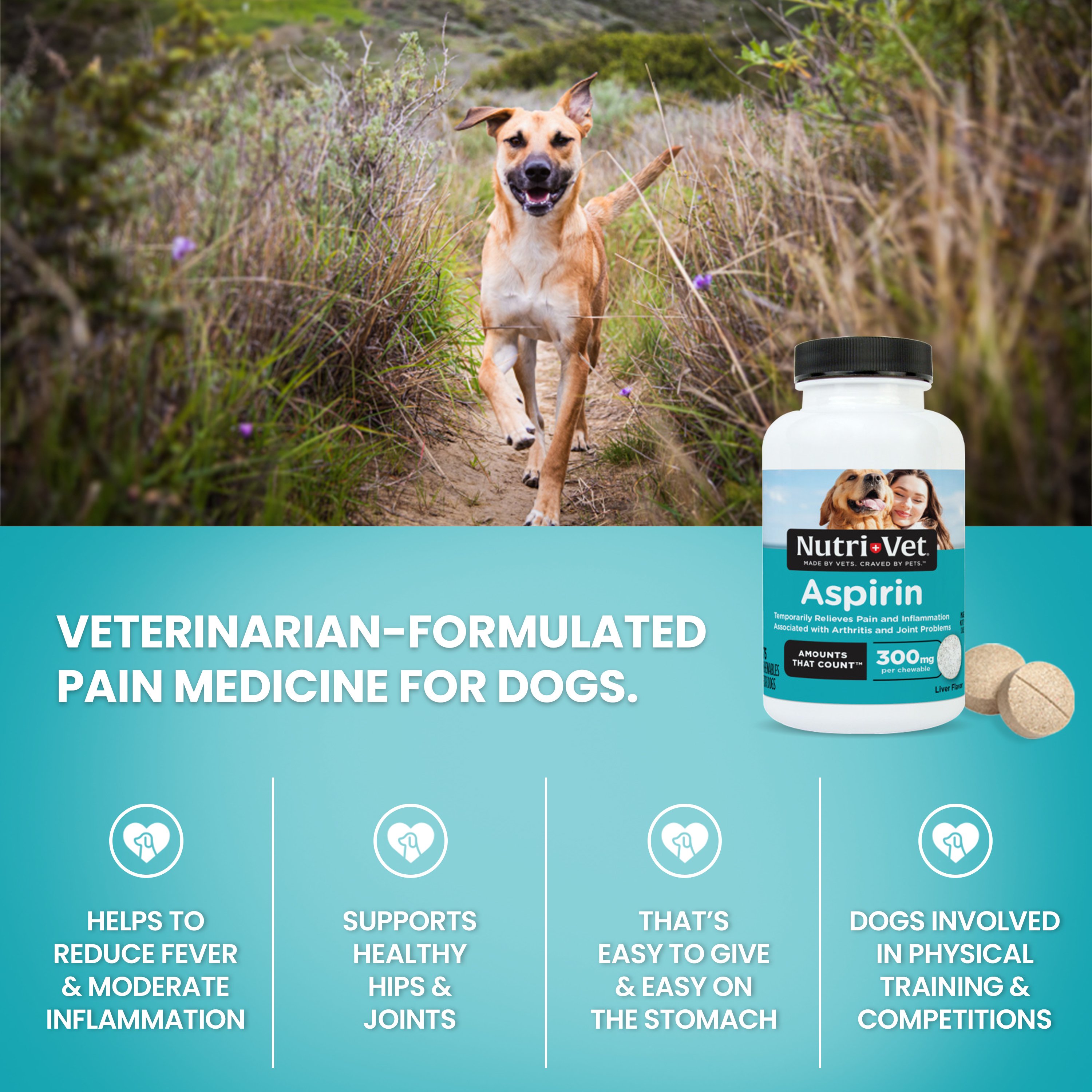 Nutri-Vet Aspirin for Large Dogs 300mg 75ct - Walmart.com