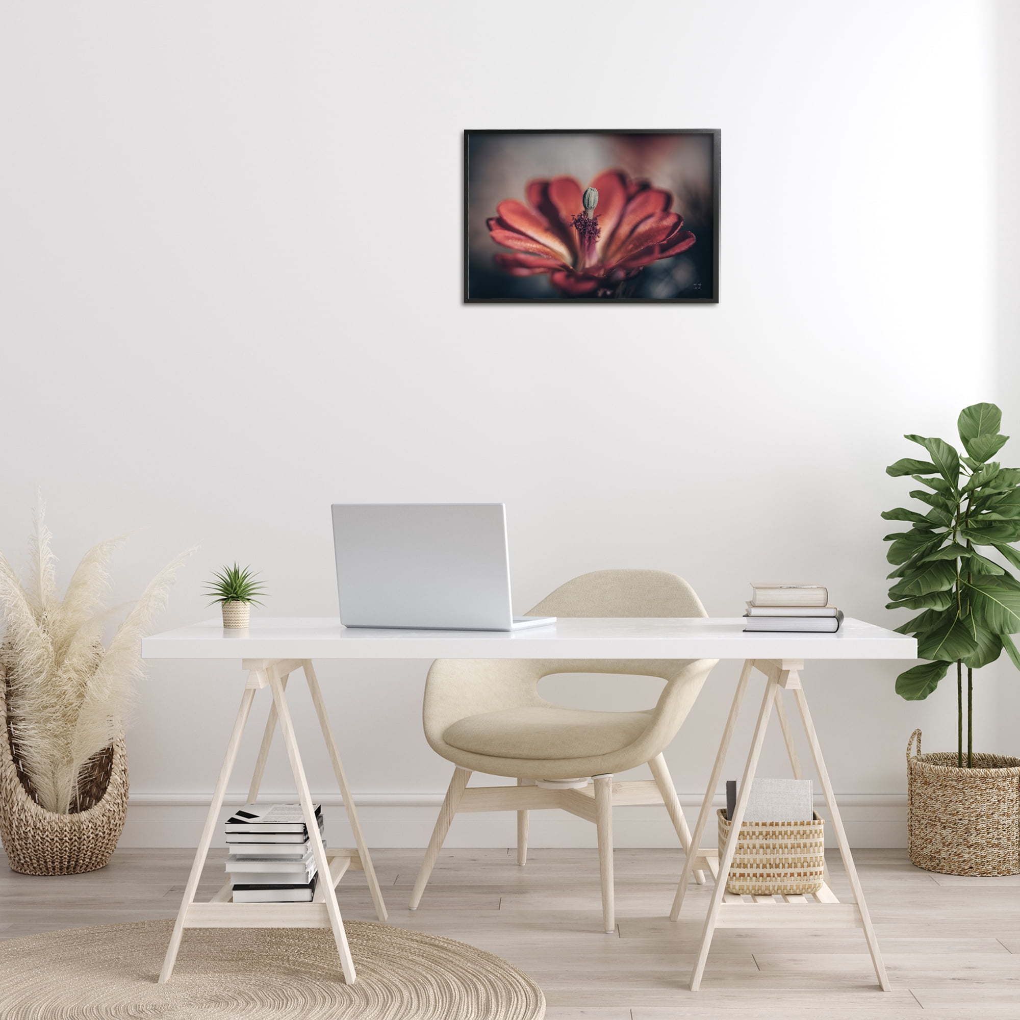 Stupell Industries Red Elevation Bloom Botanical & Floral Photography Black Framed Art Print Wall Art, 24 x 16