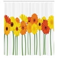 thumbnail image 3 of Ambesonne Gerber Daisy Shower Curtain, Flowers on Green Stems, 69"Wx70"L, Orange Yellow and Green, 3 of 3
