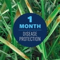thumbnail image 3 of BioAdvanced Fungus Control for Lawns, Ready-to-Spray, 32 oz, 5,000 Sq Ft, 3 of 6