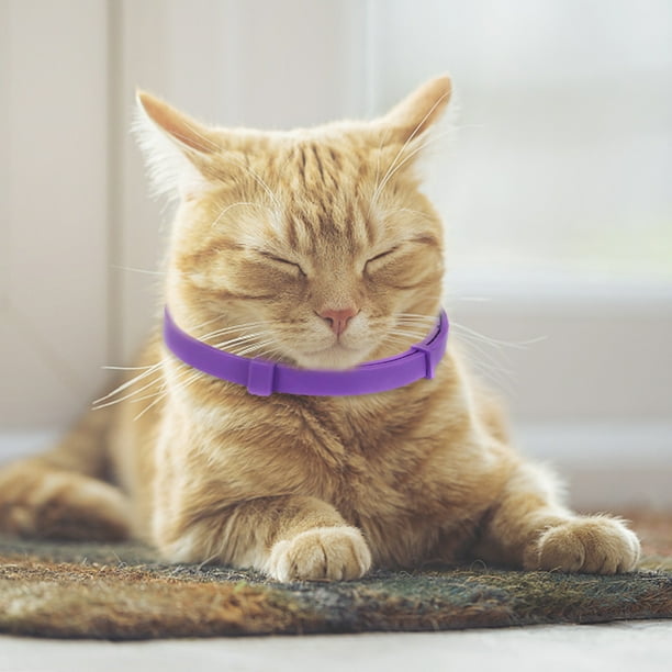 Peggybuy 38cm Calming Collar Adjustable Relieve Anxiety Cat Kitten Necklace Pet Products