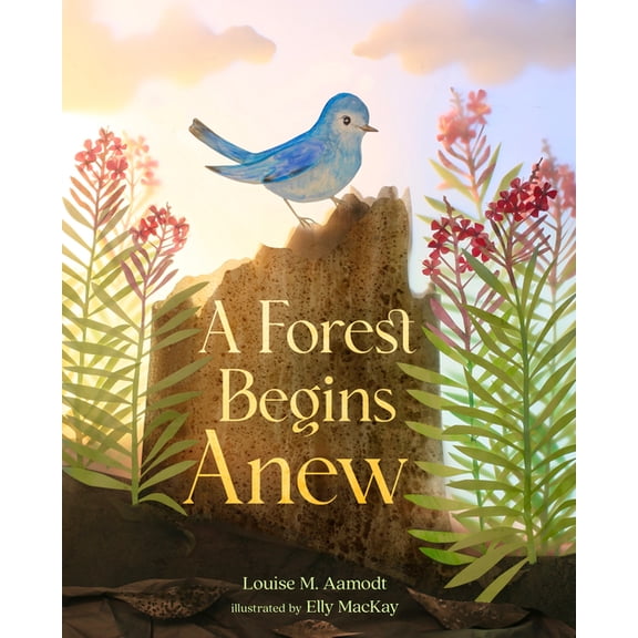 A Forest Begins Anew, (Hardcover)