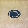 Penn State University Portable Foam Puzzle Tailgate Floor Mat