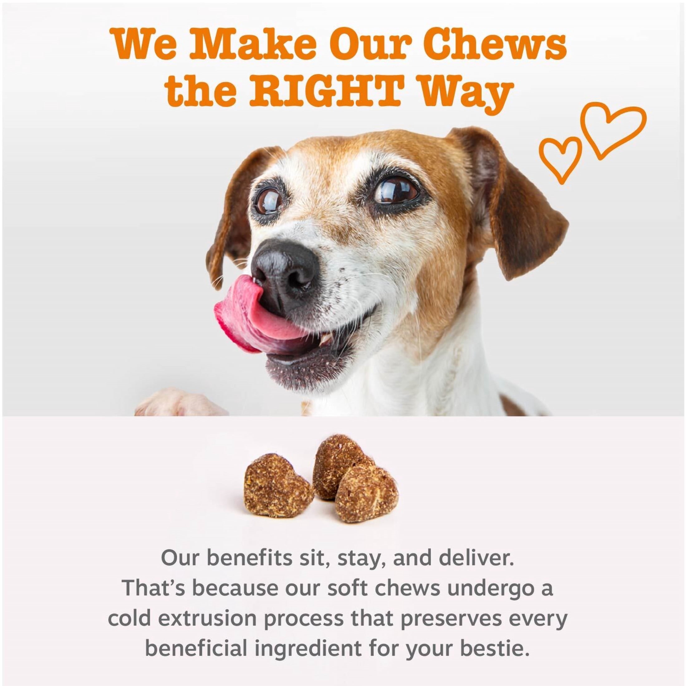 Zesty Paws Senior Advanced 11-in-1 Multivitamin Bites Beef Flavor Dog Supplement, 90 Count