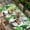 Green Gold, variant on St. Patrick's Day Table Cloths for 3 Foot Rectangle Tables, Spring Lucky Shamrocks Green Gnomes Plaid Patio Waterproof Elastic Fitted Tablecloths, Washable Rectangular Table Cover for Camping