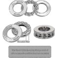 thumbnail image 4 of Kit de Suspension Ultime pour Chaise Hamac - Ressort de Chaise Hamac Œuf - Matériel de Prise - Kit de Suspension de Chaise Hamac 500lb Zro-av_Lucky_B hwy, 4 of 4