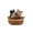 Cat&Cat, variant on Border Collie Resin Dog Statue With Black White Storage Basket for Entryway