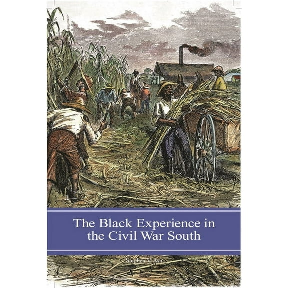 The Black Experience in the Civil War South, (Hardcover)