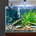 thumbnail image 3 of Fish Tank Thermometer Sticker, Large LCD Display, Waterproof, Easy to Apply, No Battery Needed, 3 of 8