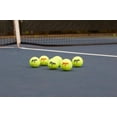 thumbnail image 3 of Pack de Pelotas de Tenis Penn 20 Latas 60 Bolas en Total, 3 of 8