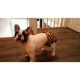 thumbnail image 5 of Barkertime Cheetah Washable Dog Diaper - Made in USA, 5 of 9